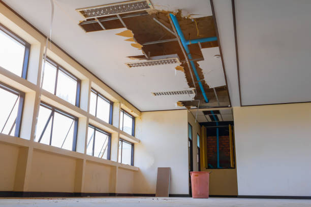 Best Water damage restoration cost  in Cassville, WV