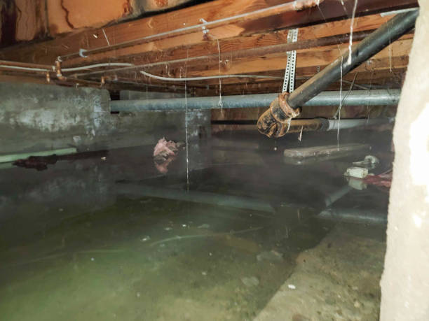 Best Sewage cleanup and water damage restoration  in Cassville, WV