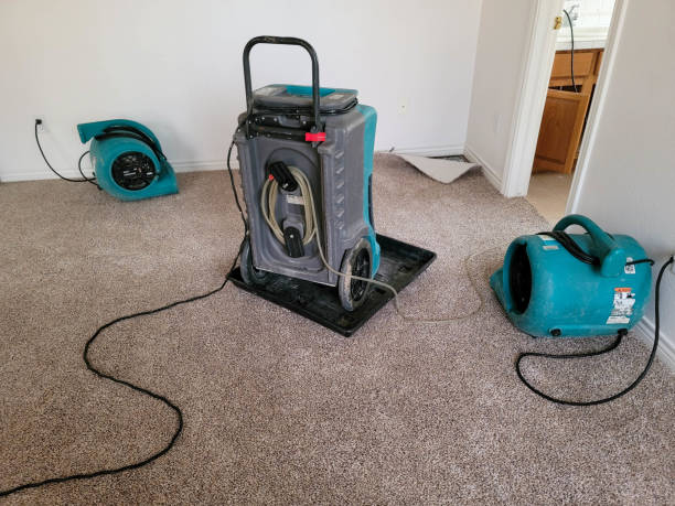 Best Professional water damage repair  in Cassville, WV