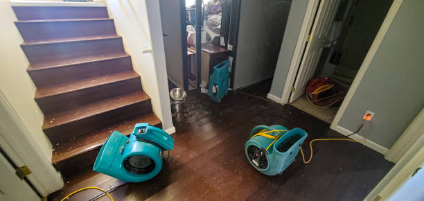 Best Ceiling water damage repair  in Cassville, WV