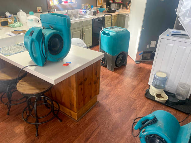 Best Local water damage restoration  in Cassville, WV