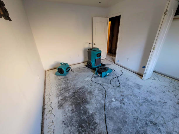 Best Residential water damage restoration  in Cassville, WV
