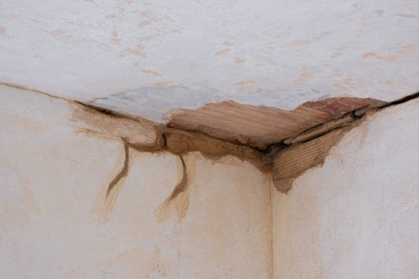 Best Water damage restoration specialists  in Cassville, WV