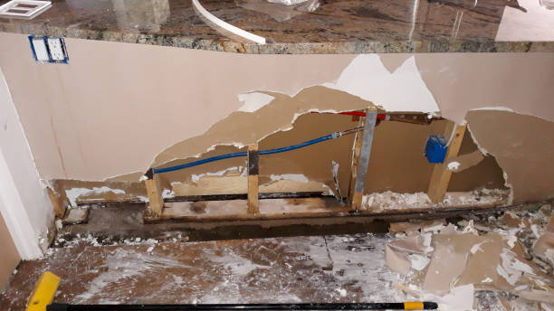 Best 24/7 water damage repair  in Cassville, WV