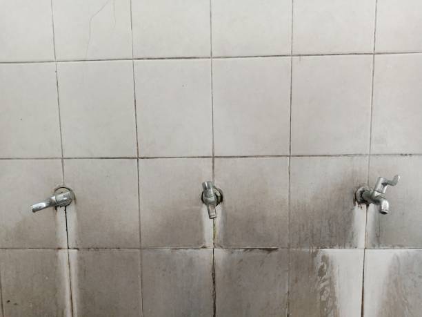 Best Water damage restoration mold remediation  in Cassville, WV