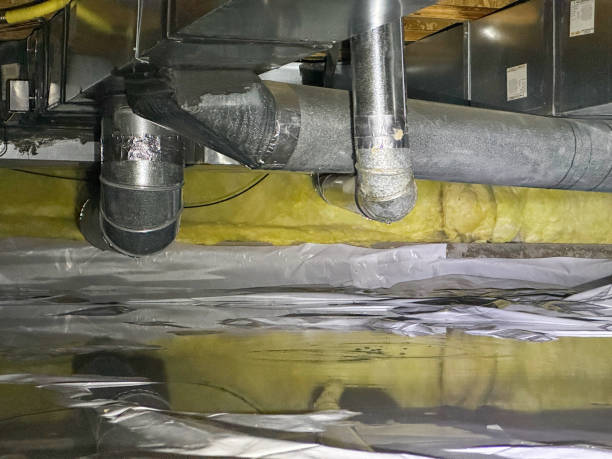 Best Water damage restoration experts  in Cassville, WV