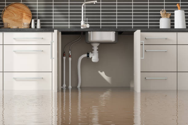 Best Water damage restoration near me  in Cassville, WV